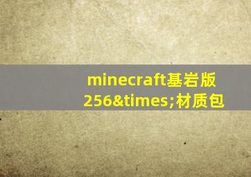 minecraft基岩版256×材质包