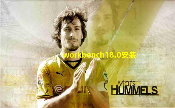 workbench18.0安装