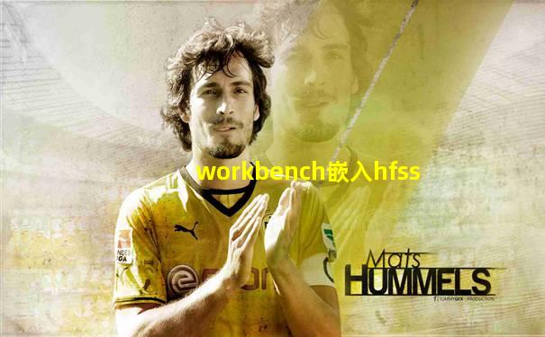 workbench嵌入hfss