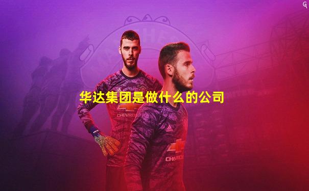 华达集团是做什么的公司