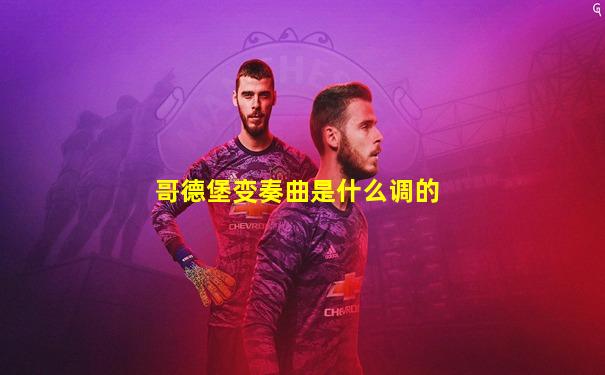 哥德堡变奏曲是什么调的