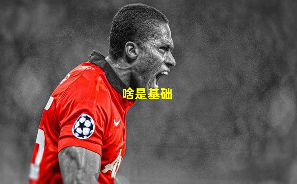 啥是基础