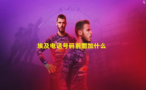 埃及电话号码前面加什么