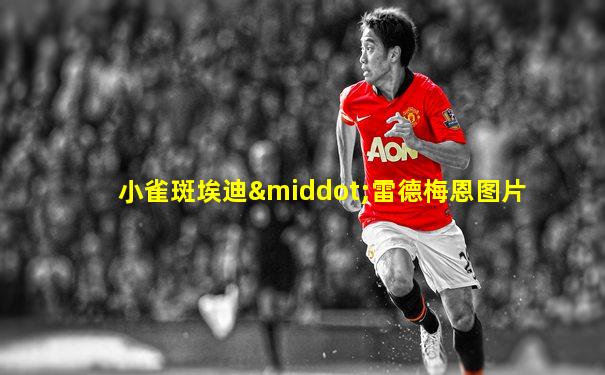 小雀斑埃迪·雷德梅恩图片