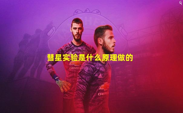 彗星实验是什么原理做的
