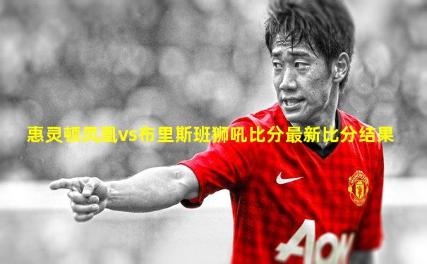 惠灵顿凤凰vs布里斯班狮吼比分最新比分结果
