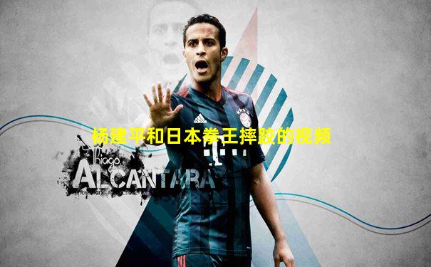 杨建平和日本拳王摔跤的视频