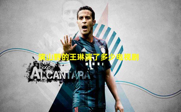 演山野的王琳演了多少电视剧
