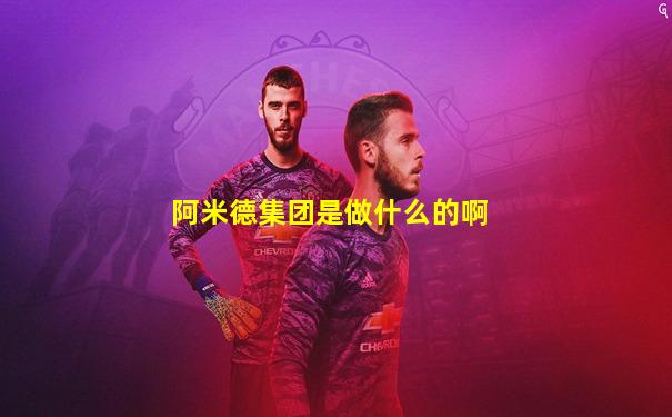 阿米德集团是做什么的啊